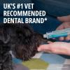 imageVirbac CET Oral Hygiene Kit for Dogs  Poultryflavor Toothpaste  Fingerbrush and Pet Toothbrush1 Count Pack of 1