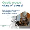 imageVirbac ZENIFEL Spray  Managing StressRelated Behaviors in Kittens amp Cats  QuickActing  Ideal for Unexpected Stressful Situations