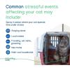 imageVirbac ZENIFEL Spray  Managing StressRelated Behaviors in Kittens amp Cats  QuickActing  Ideal for Unexpected Stressful Situations