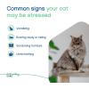 imageVirbac ZENIFEL Spray  Managing StressRelated Behaviors in Kittens amp Cats  QuickActing  Ideal for Unexpected Stressful Situations