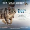 imageVirbac URSOLYX Soft Chews for Cats  Muscle Health Support for Senior Active or Recovering Cats  60 Count 2 Month Supply